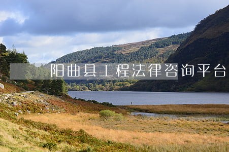 阳曲县工程法律咨询平台