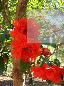 阳曲县租赁合同纠纷律师 阳曲县租赁合同纠纷律师
