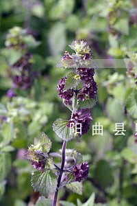 阳曲县财产债务纠纷律师 阳曲县财产债务纠纷律师