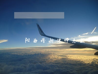 阳曲婚姻律师怎么样 阳曲婚姻律师怎么样