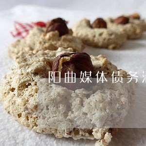阳曲媒体债务清偿律师 阳曲媒体债务清偿律师