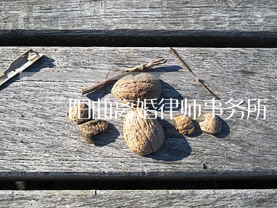 阳曲离婚律师事务所 阳曲离婚律师事务所