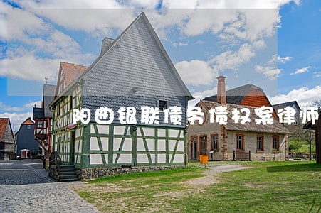 阳曲银联债务债权案律师 阳曲银联债务债权案律师