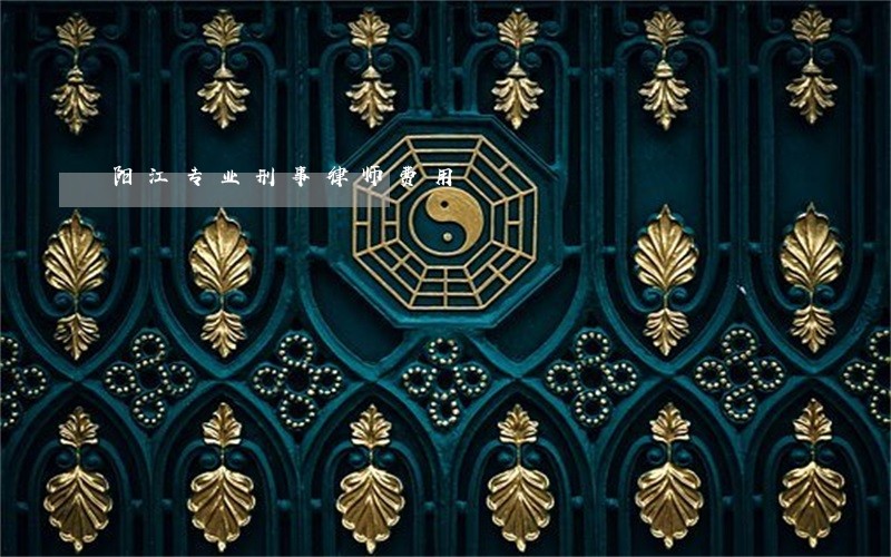 阳江专业刑事律师费用