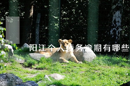 阳江个人债务逾期有哪些方式 阳江个人债务逾期有哪些方式