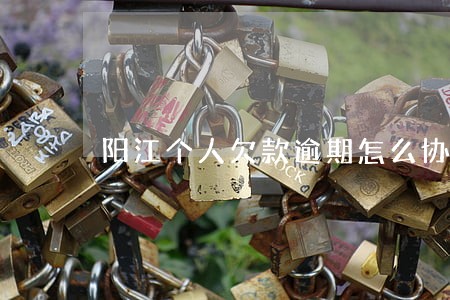 阳江个人欠款逾期怎么协商 阳江个人欠款逾期怎么协商