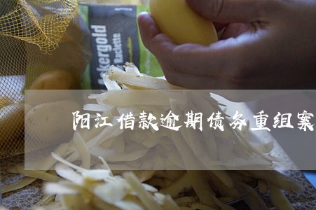 阳江借款逾期债务重组案例 阳江借款逾期债务重组案例