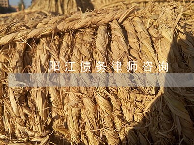 阳江债务律师咨询 阳江债务律师咨询