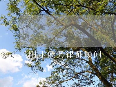 阳江债务律师顾问 阳江债务律师顾问
