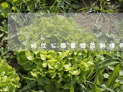 阳江公司重组改制律师在线咨询 阳江公司重组改制律师在线咨询