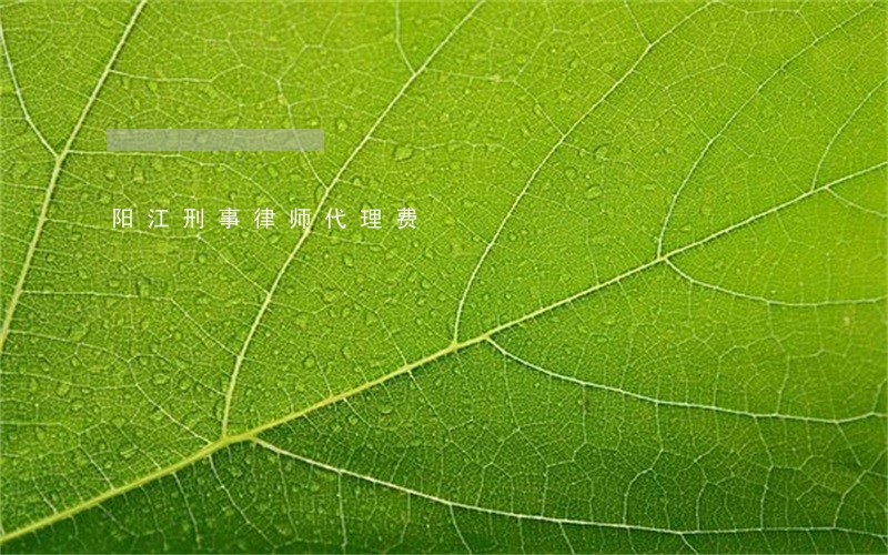 阳江刑事律师代理费 阳江刑事律师代理费