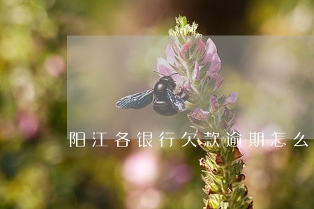 阳江各银行欠款逾期怎么协商 阳江各银行欠款逾期怎么协商