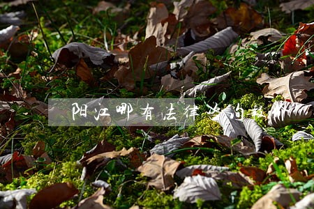阳江哪有法律咨询报价 阳江哪有法律咨询报价