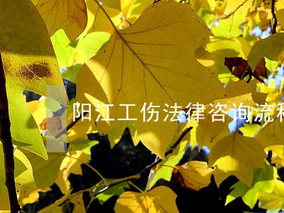 阳江工伤法律咨询流程 阳江工伤法律咨询流程