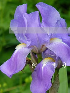 阳江市司法鉴定机构