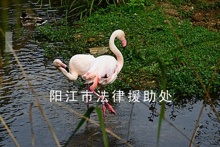 阳江市法律援助处 阳江市法律援助处
