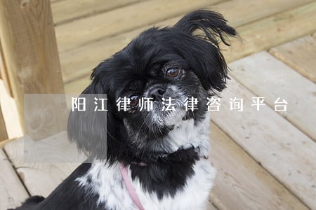 阳江律师法律咨询平台 阳江律师法律咨询平台