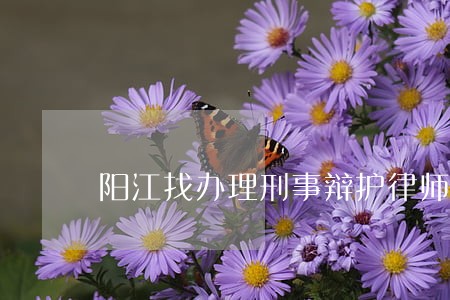 阳江找办理刑事辩护律师免费咨询