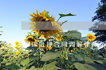 阳江抵押合同调解律师介绍 阳江抵押合同调解律师介绍