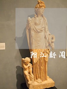 阳江新闻侵权在线律师 阳江新闻侵权在线律师