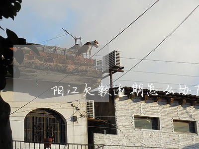 阳江欠款逾期怎么协商 阳江欠款逾期怎么协商