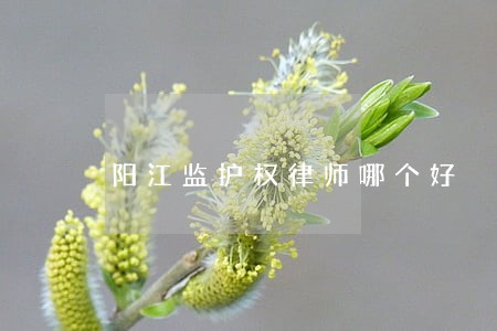阳江监护权律师哪个好 阳江监护权律师哪个好