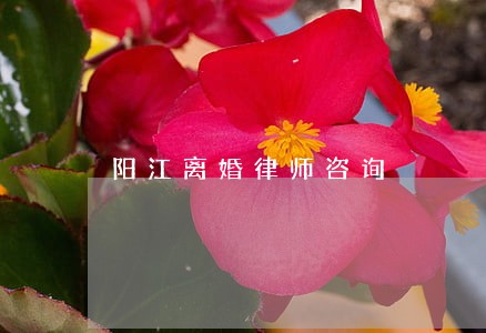 阳江离婚律师咨询
