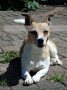 阳江离婚找律师要多少钱 阳江离婚找律师要多少钱