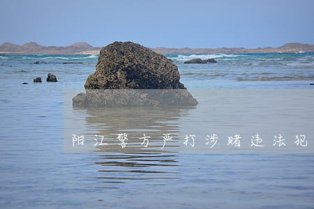 阳江警方严打涉赌违法犯罪