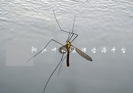 阳江诉讼法律咨询平台 阳江诉讼法律咨询平台