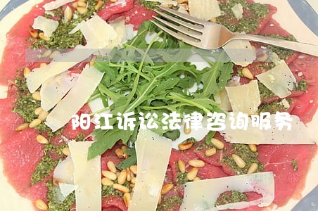 阳江诉讼法律咨询服务 阳江诉讼法律咨询服务