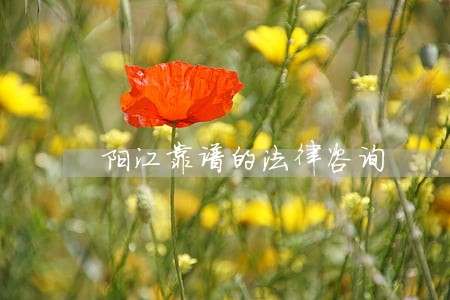 阳江靠谱的法律咨询 阳江靠谱的法律咨询