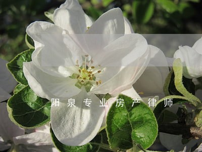 阳泉专业房产律师 阳泉专业房产律师