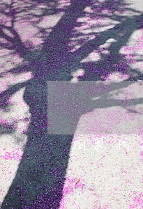 阳泉代办公司逾期申报机构 阳泉代办公司逾期申报机构