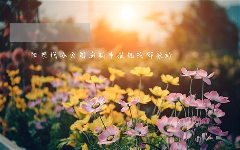 阳泉代办公司逾期申报机构哪家好 阳泉代办公司逾期申报机构哪家好