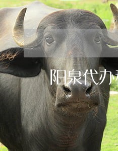 阳泉代办税务逾期申报多少钱 阳泉代办税务逾期申报多少钱