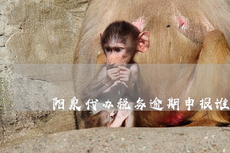 阳泉代办税务逾期申报谁家好 阳泉代办税务逾期申报谁家好