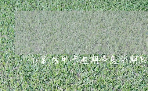 阳泉信用卡逾期停息分期怎么协商 阳泉信用卡逾期停息分期怎么协商