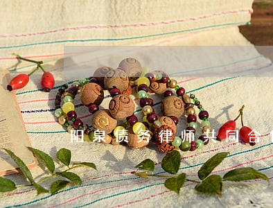阳泉债务律师共同合作 阳泉债务律师共同合作