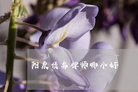 阳泉债务律师哪个好