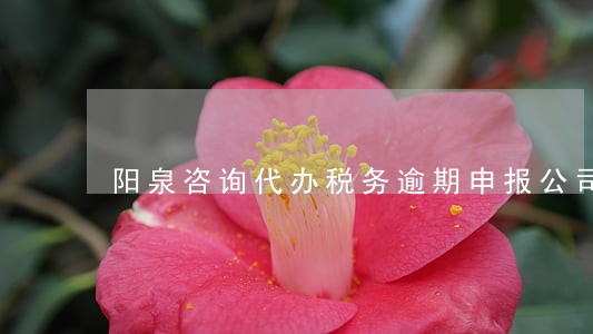 阳泉咨询代办税务逾期申报公司 阳泉咨询代办税务逾期申报公司