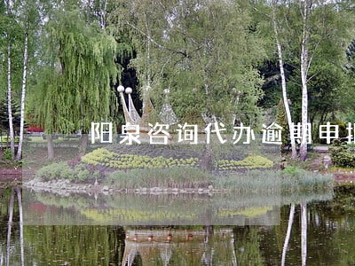 阳泉咨询代办逾期申报流程 阳泉咨询代办逾期申报流程