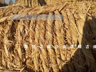 阳泉咨询债务律师咨询费多少 阳泉咨询债务律师咨询费多少
