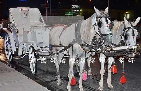 阳泉好的债务律师谁家好