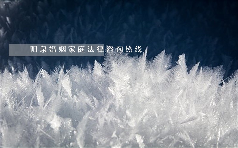 阳泉婚姻家庭法律咨询热线