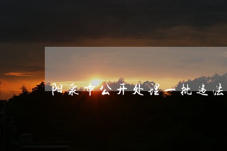阳泉市公开处理一批违法违纪干部