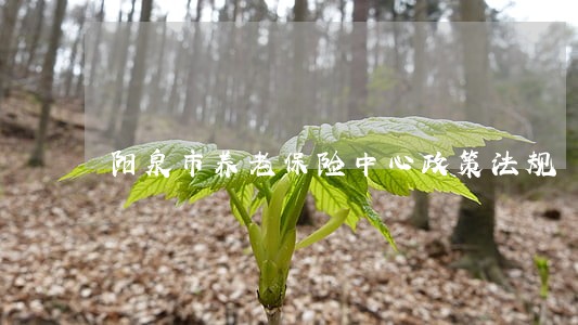 阳泉市养老保险中心政策法规 阳泉市养老保险中心政策法规