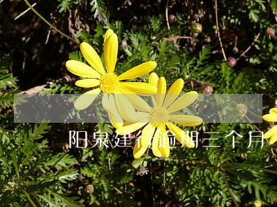 阳泉建行逾期三个月 阳泉建行逾期三个月