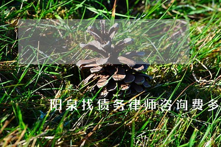 阳泉找债务律师咨询费多少