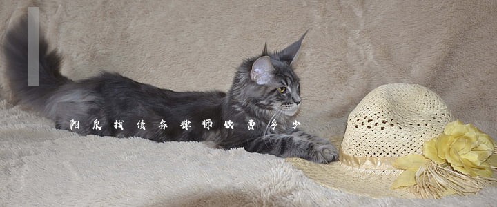 阳泉找债务律师收费多少 阳泉找债务律师收费多少